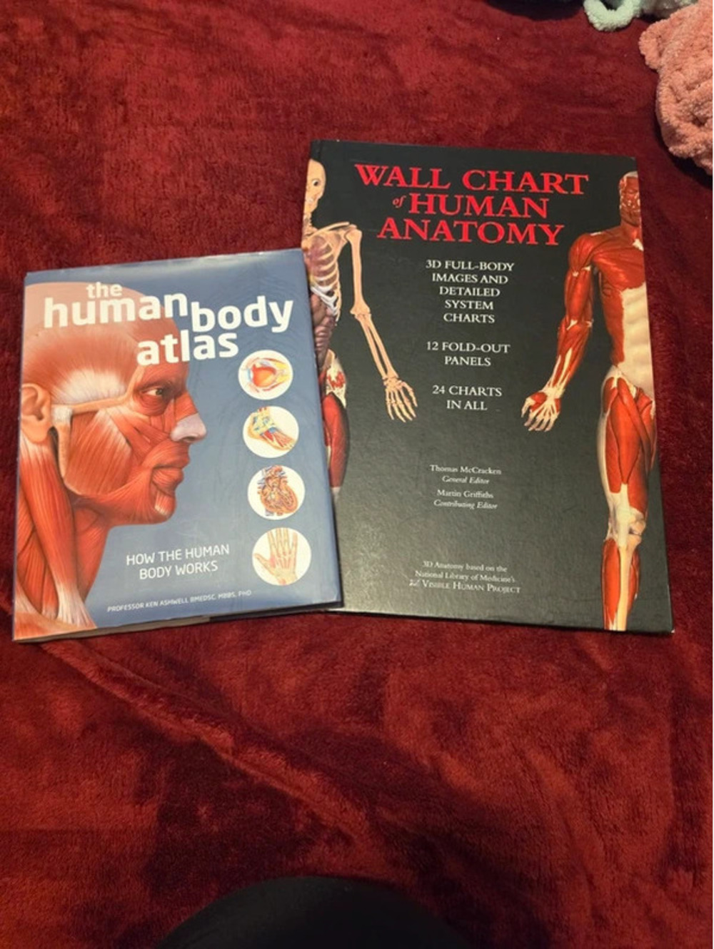 The Wall Chart of Human Anatomy